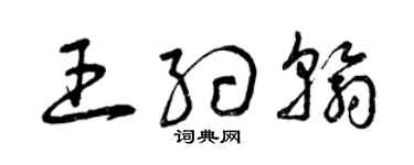 曾庆福王约翰草书个性签名怎么写