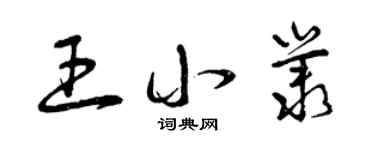曾庆福王小丛草书个性签名怎么写