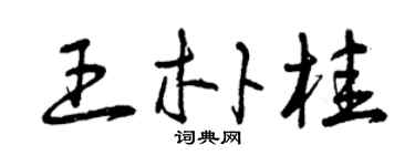 曾庆福王朴桂草书个性签名怎么写