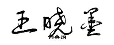 曾庆福王晓墨草书个性签名怎么写