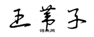 曾庆福王苇子草书个性签名怎么写