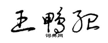 曾庆福王鸭纪草书个性签名怎么写