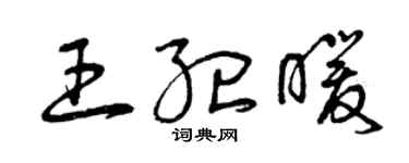 曾庆福王纪暖草书个性签名怎么写