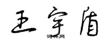 曾庆福王宇盾草书个性签名怎么写