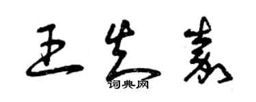 曾庆福王知嘉草书个性签名怎么写