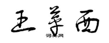 曾庆福王苹西草书个性签名怎么写