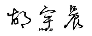 曾庆福胡宇晨草书个性签名怎么写
