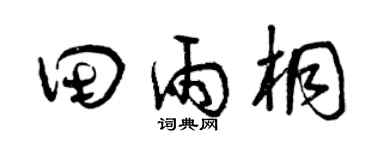 曾庆福田雨桐草书个性签名怎么写