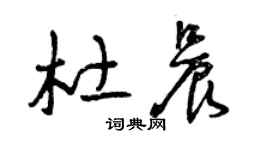 曾庆福杜晨草书个性签名怎么写