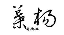 曾庆福叶杨草书个性签名怎么写