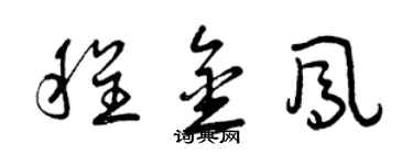 曾庆福程金凤草书个性签名怎么写