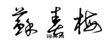曾庆福苏春梅草书个性签名怎么写
