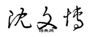 曾庆福沈文博草书个性签名怎么写