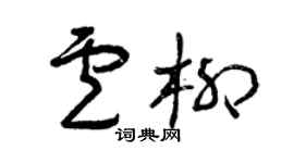 曾庆福卢柳草书个性签名怎么写