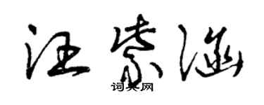 曾庆福汪紫涵草书个性签名怎么写