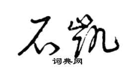 曾庆福石凯草书个性签名怎么写