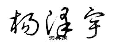 曾庆福杨泽宇草书个性签名怎么写