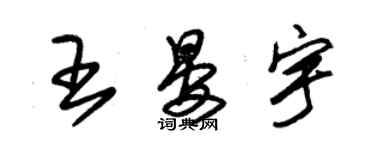 朱锡荣王晏宇草书个性签名怎么写