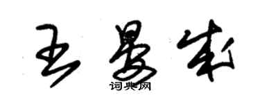 朱锡荣王晏成草书个性签名怎么写