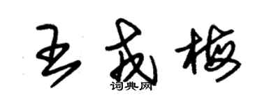 朱锡荣王戎梅草书个性签名怎么写