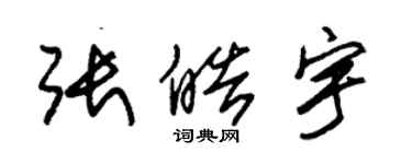 朱锡荣张皓宇草书个性签名怎么写