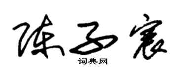 朱锡荣陈子宸草书个性签名怎么写
