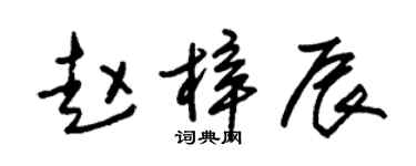 朱锡荣赵梓辰草书个性签名怎么写