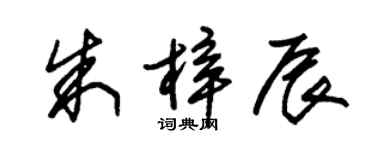 朱锡荣朱梓辰草书个性签名怎么写