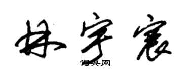 朱锡荣林宇宸草书个性签名怎么写