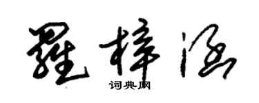 朱锡荣罗梓涵草书个性签名怎么写