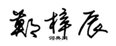 朱锡荣郑梓辰草书个性签名怎么写