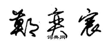 朱锡荣郑奕宸草书个性签名怎么写