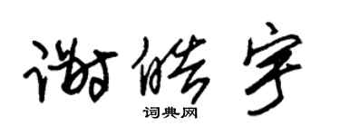 朱锡荣谢皓宇草书个性签名怎么写