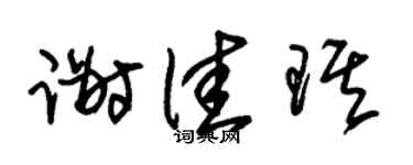 朱锡荣谢佳琪草书个性签名怎么写
