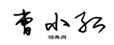朱锡荣曹小红草书个性签名怎么写
