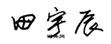 朱锡荣田宇辰草书个性签名怎么写