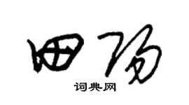朱锡荣田阳草书个性签名怎么写