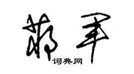朱锡荣蒋军草书个性签名怎么写