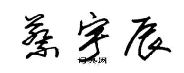 朱锡荣蔡宇辰草书个性签名怎么写