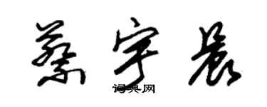 朱锡荣蔡宇晨草书个性签名怎么写