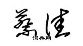 朱锡荣蔡佳草书个性签名怎么写