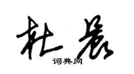 朱锡荣杜晨草书个性签名怎么写