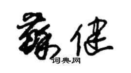 朱锡荣苏健草书个性签名怎么写