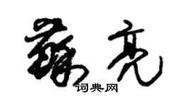 朱锡荣苏亮草书个性签名怎么写