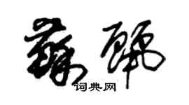 朱锡荣苏丽草书个性签名怎么写