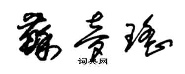 朱锡荣苏梦瑶草书个性签名怎么写