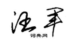 朱锡荣汪军草书个性签名怎么写