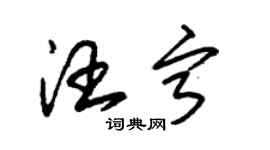 朱锡荣汪宁草书个性签名怎么写