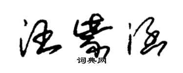 朱锡荣汪紫涵草书个性签名怎么写