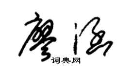 朱锡荣廖涵草书个性签名怎么写
